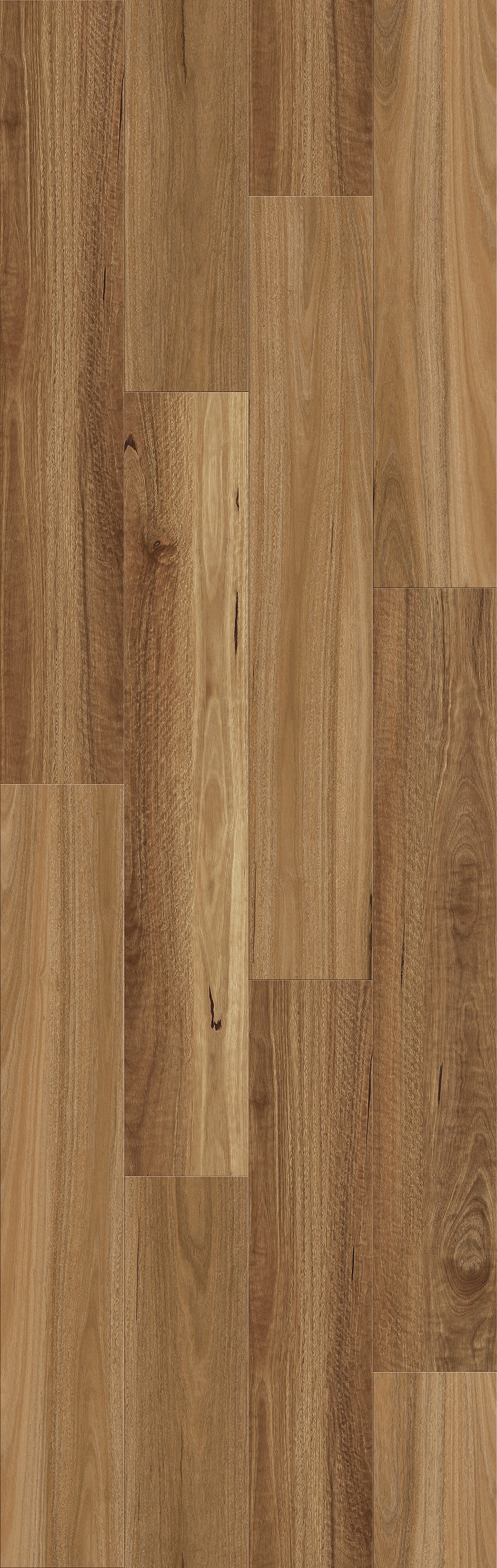 ResiPlank Corsica 855 NSW Spotted Gum 8.5mm (price per sqm)