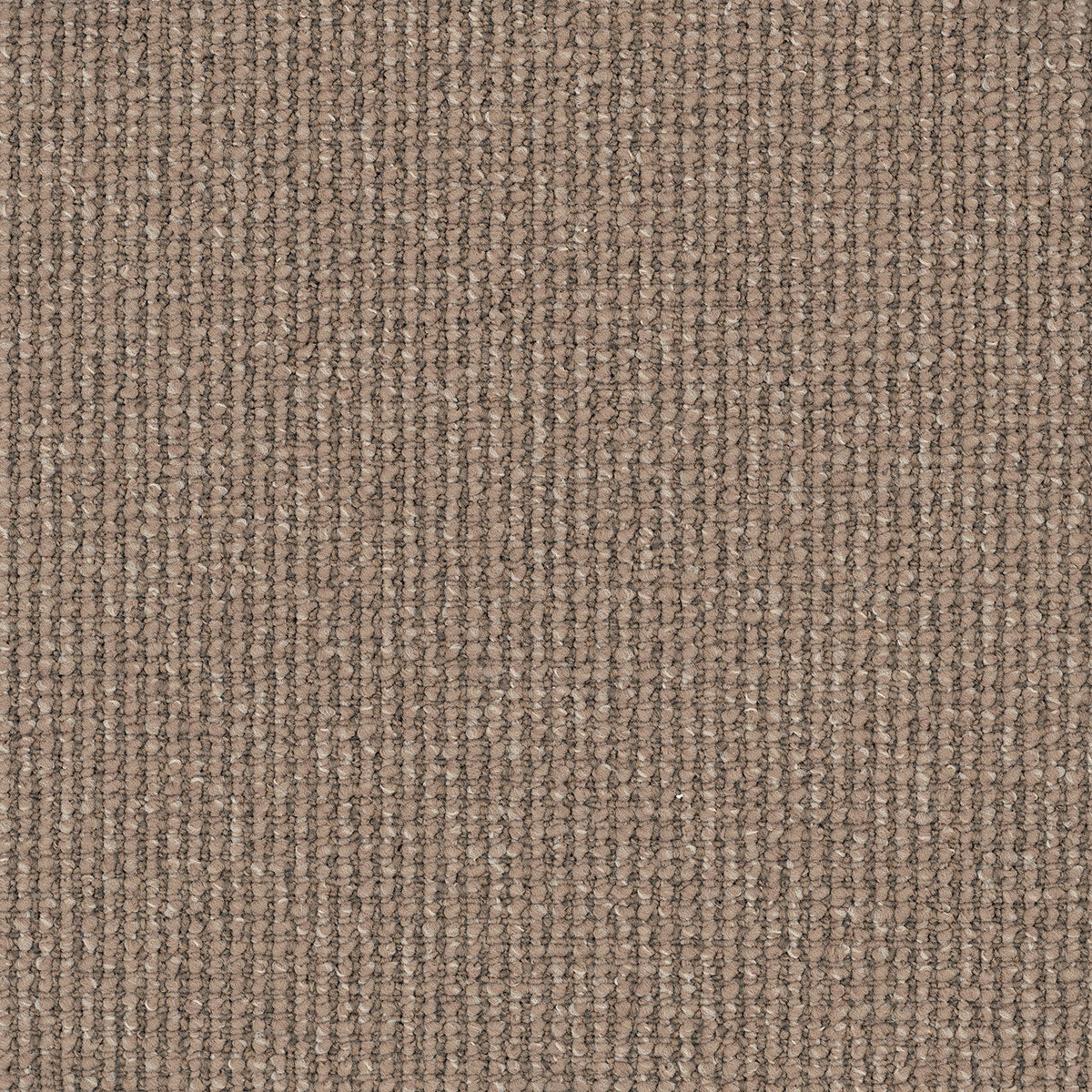 Acacia Hills 1251 Mawson Carpet (Price per sqm)