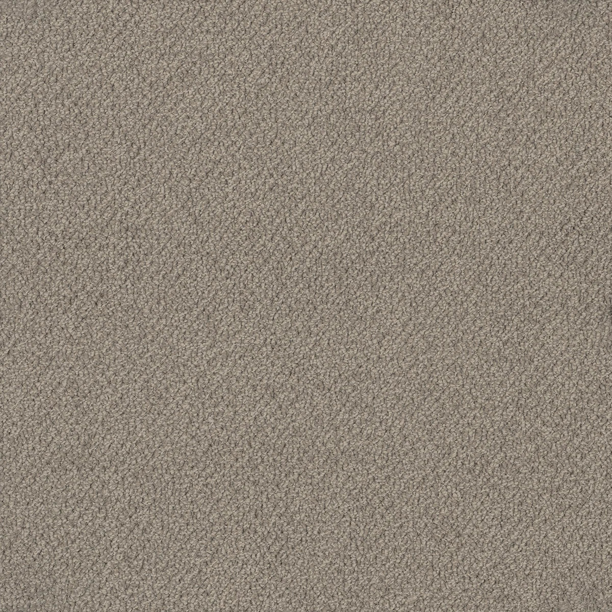 Bourkesgate 1953 Paroo Carpet (price per sqm)
