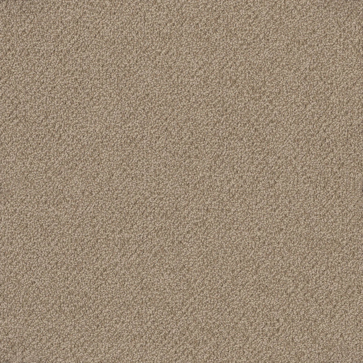 Bourkesgate 1955 Lawson Carpet (price per sqm)