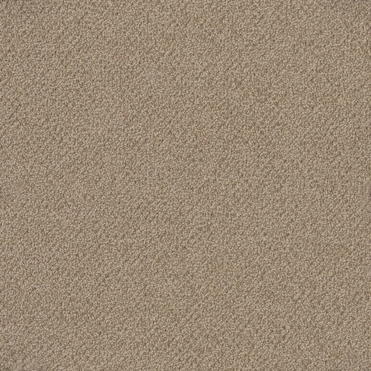 Bourkesgate 1955 Lawson Carpet (price per sqm)