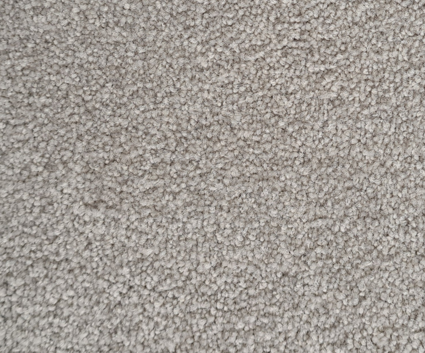 Essential Images 11/- Ashwood Twist Pile Carpet (price per sqm)