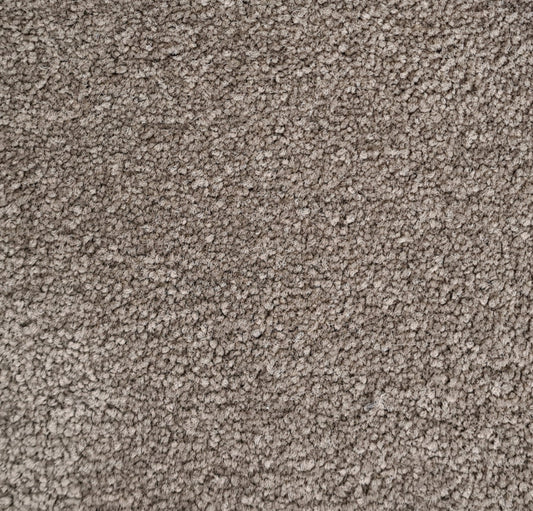 Essential Images 12/- Cool Taupe Twist Pile Carpet (price per sqm)