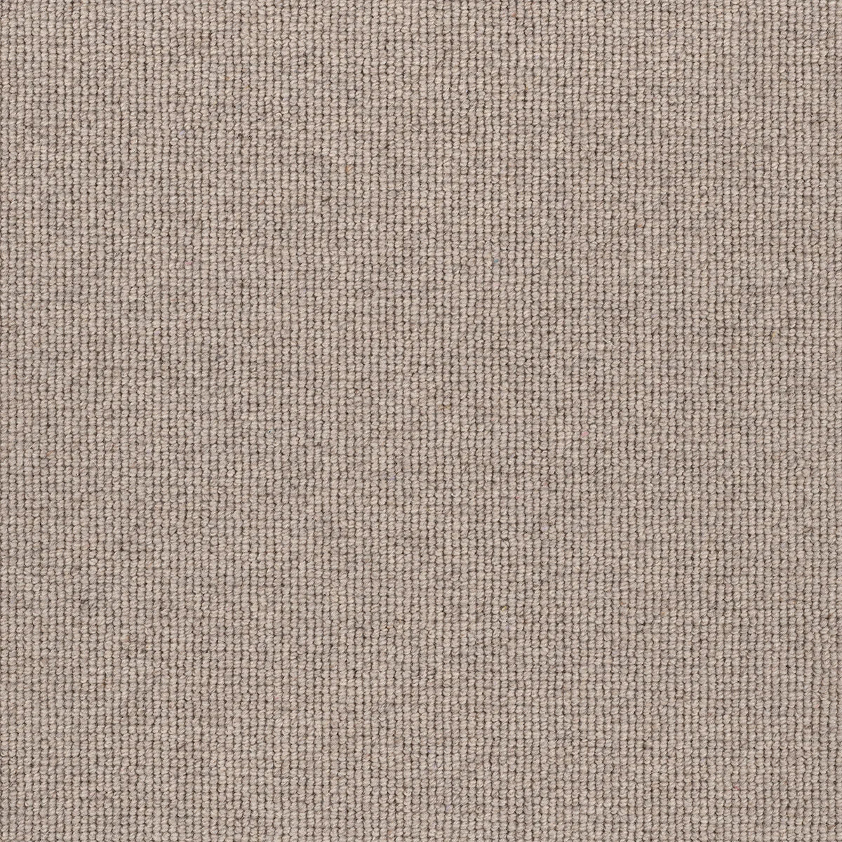 Hause 5017 Seventeen Carpet (price per sqm)