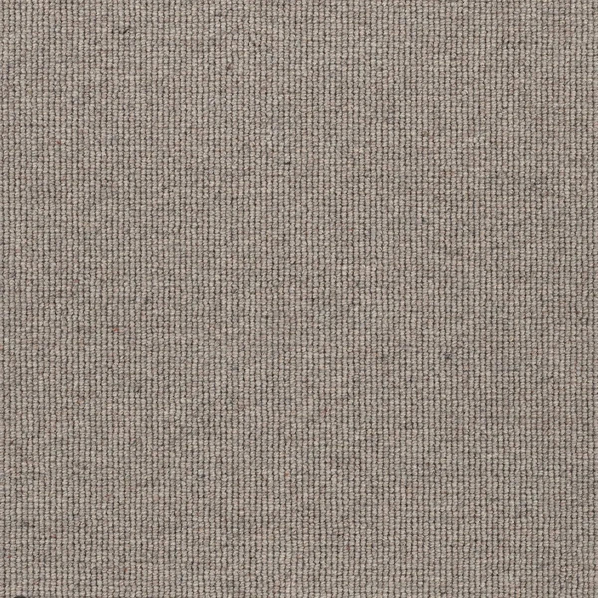 Hause 5028 Twenty Eight Carpet (price per sqm)