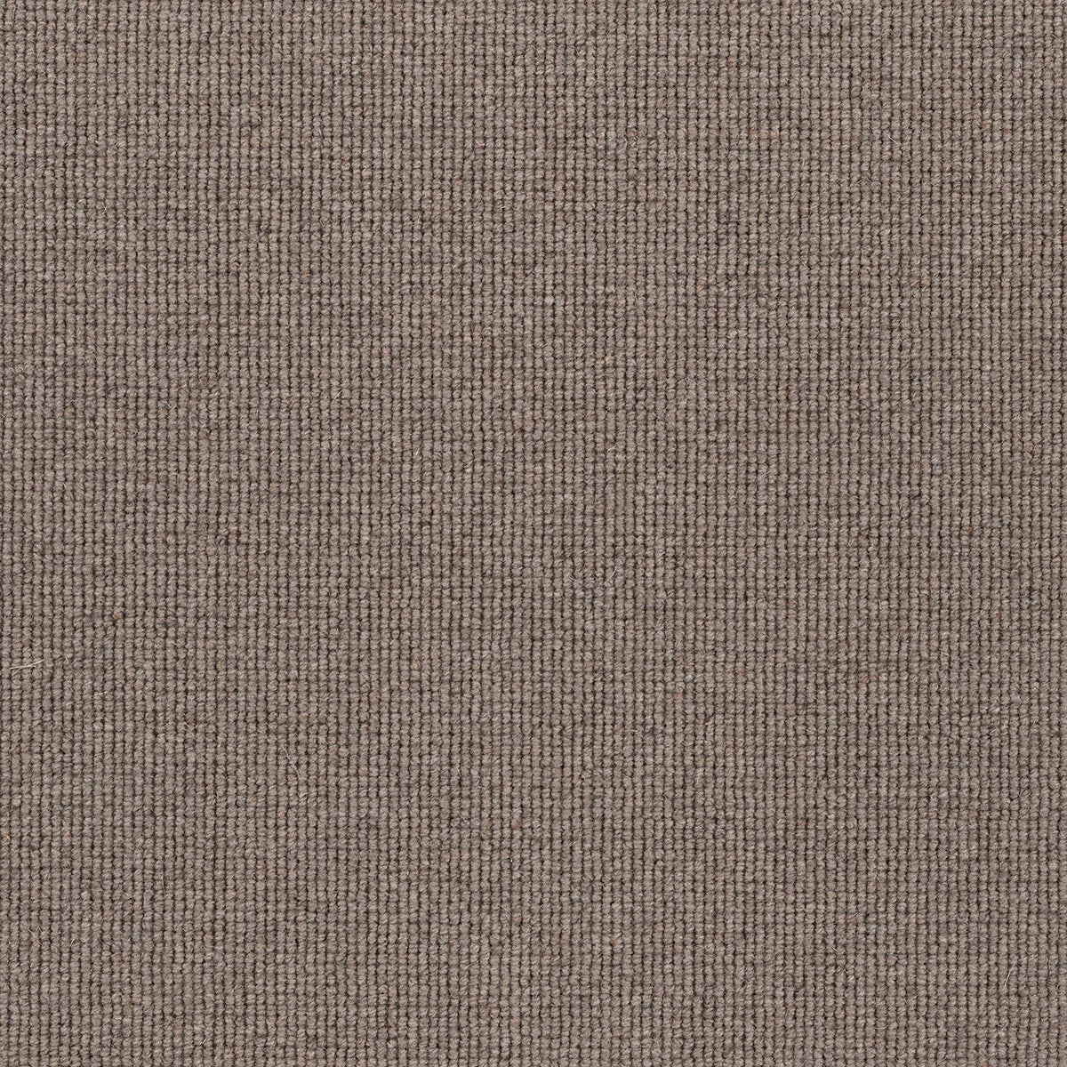 Hause 5045 Forty Five Carpet (price per sqm)