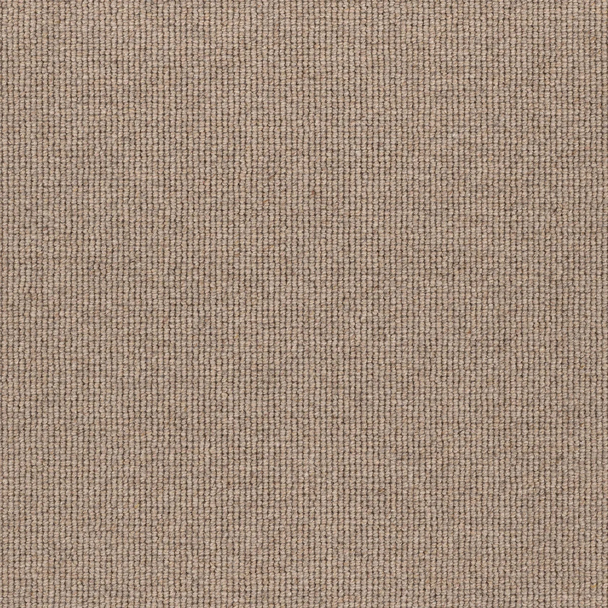 Hause 5047 Forty Seven Carpet (price per sqm)