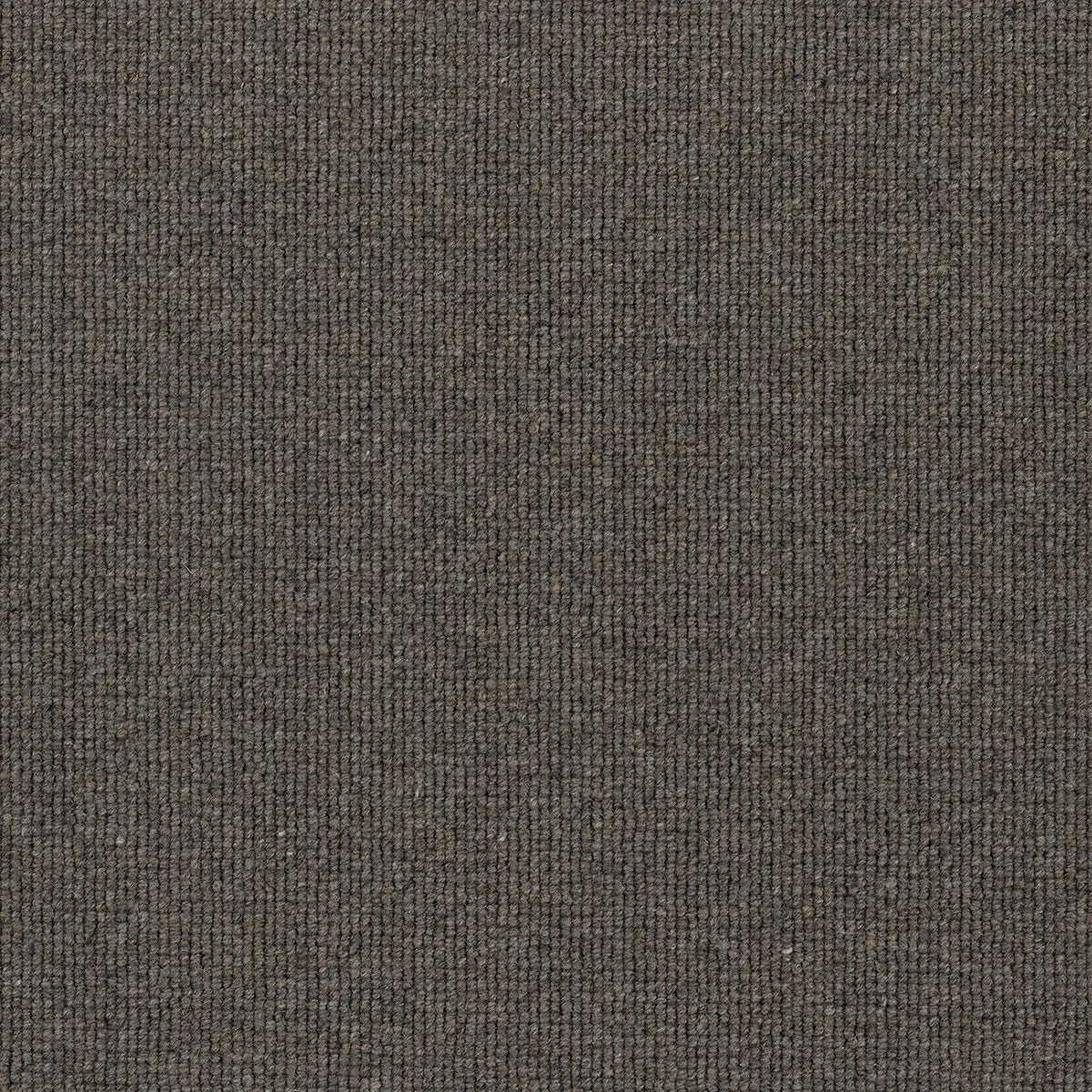 Hause 5088 Eighty Eight Carpet (price per sqm)