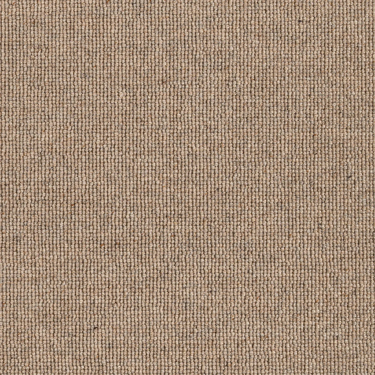 Hause 5054 Fifty Four Carpet (price per sqm)