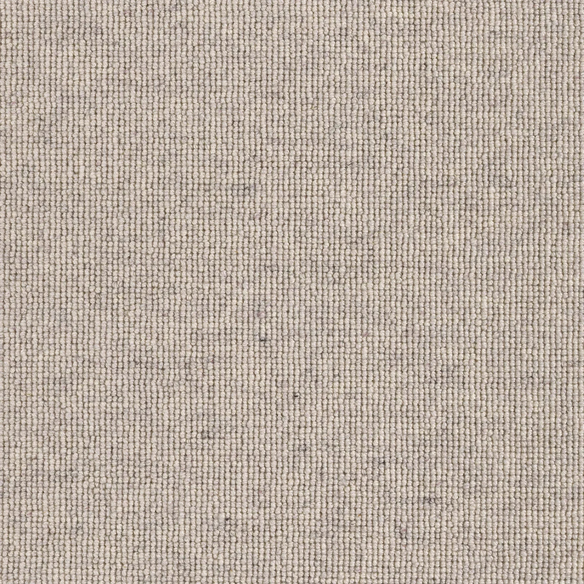 Hause 5003 Three Carpet (price per sqm)