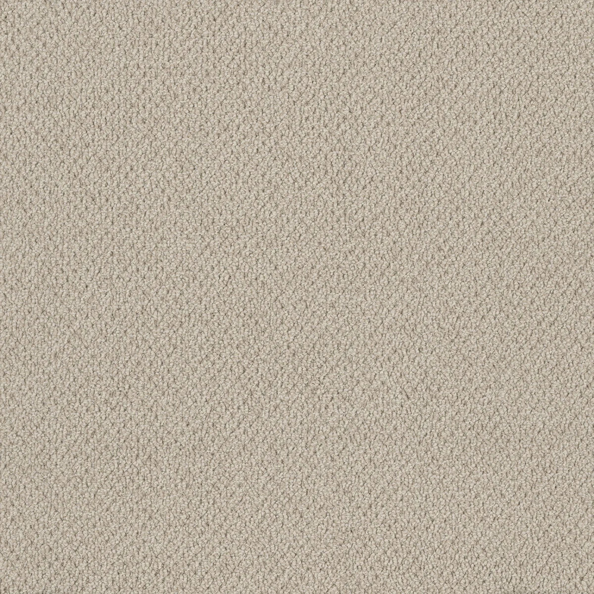 Bourkesgate 1961 Kamila Carpet (price per sqm)