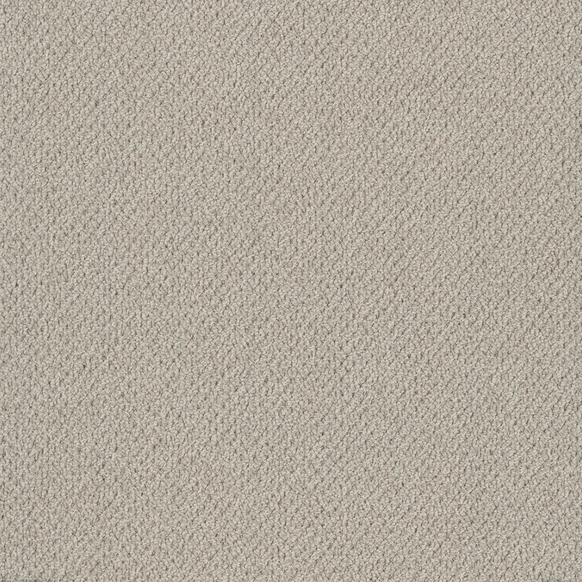 Bourkesgate 1962 Kidman Carpet (price per sqm)