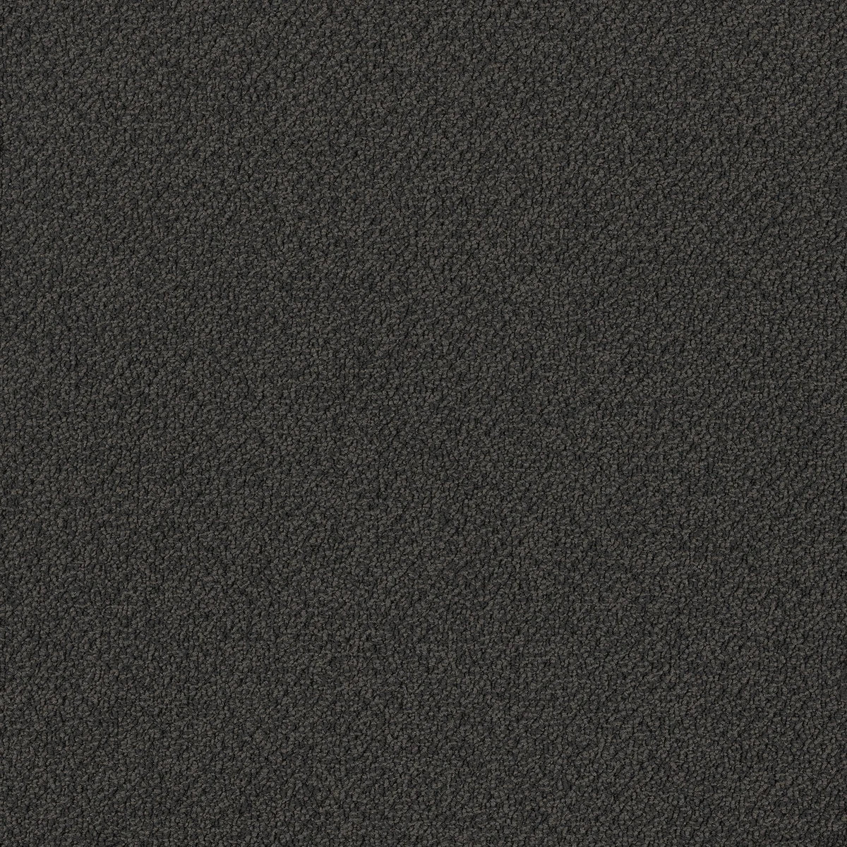 Bourkesgate 1965 Louth Carpet (price per sqm)