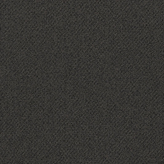 Bourkesgate 1965 Louth Carpet (price per sqm)