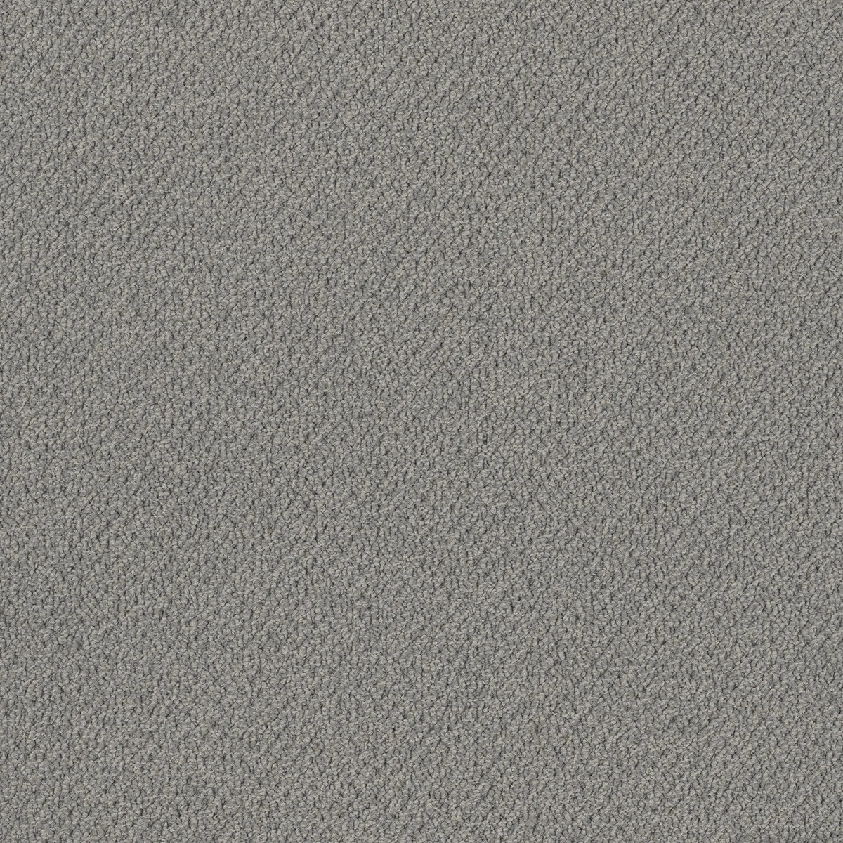 Bourkesgate 1964 Namoi Carpet (price per sqm)
