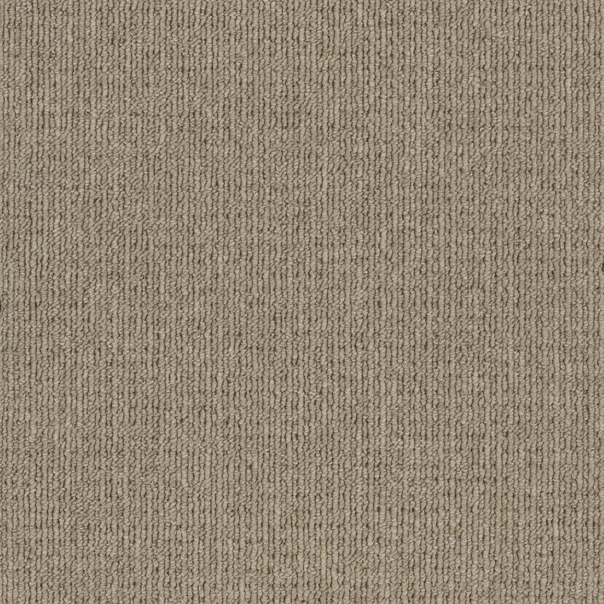 Savanna 2932 Rivergum Carpet (price per sqm)