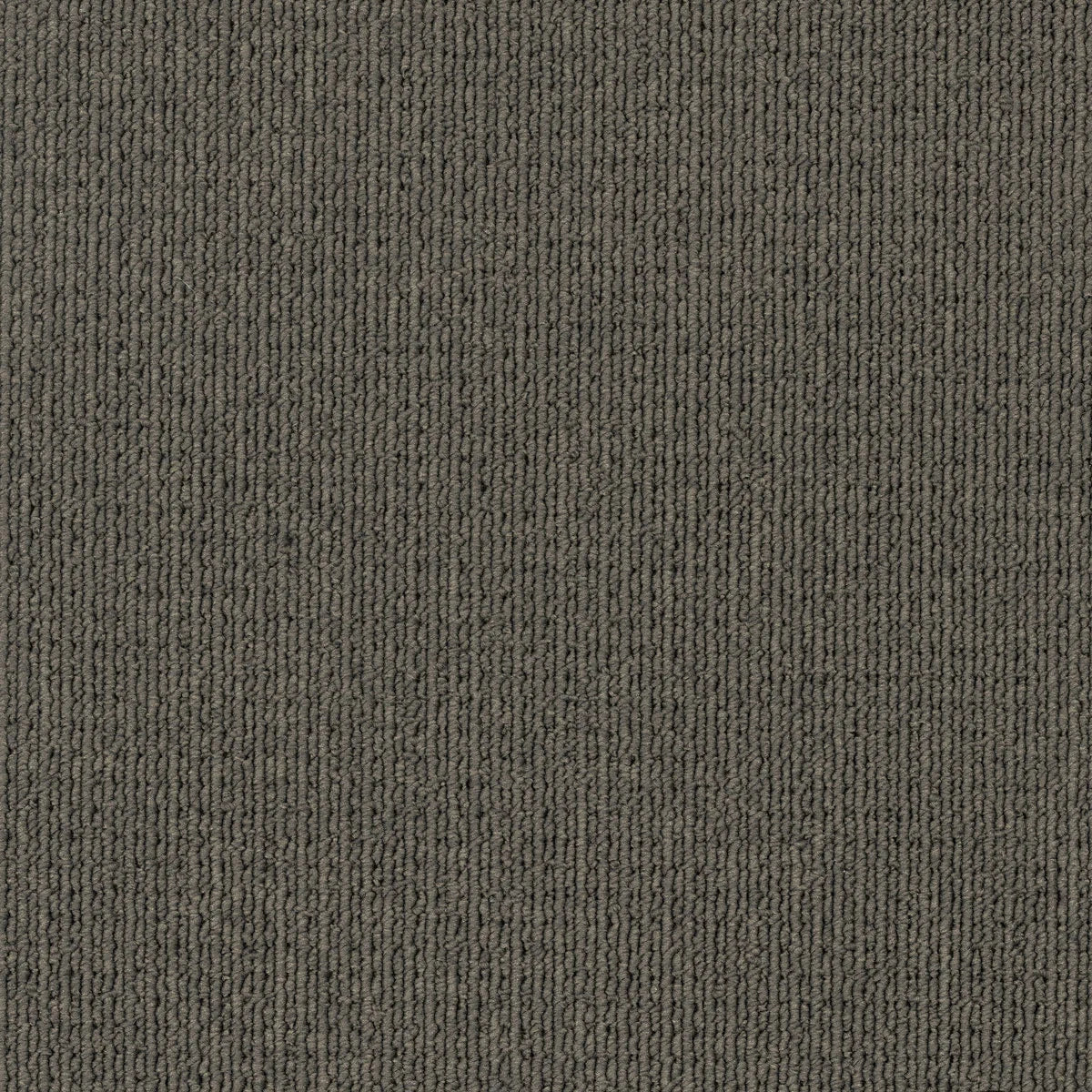 Savanna 2933 Coolibah Carpet (price per sqm)
