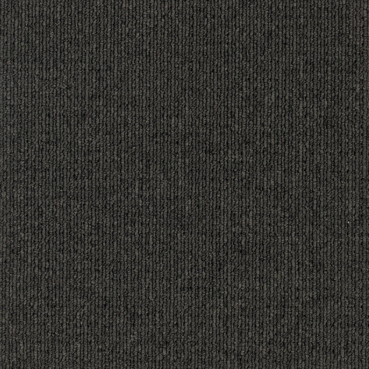 Savanna 2935 Applebush Carpet (price per sqm)