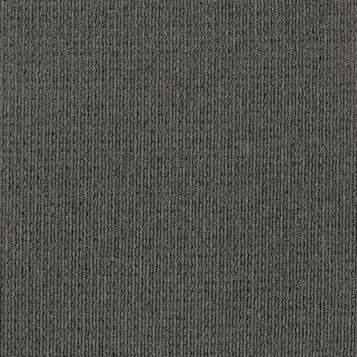 Savanna 2937 Wattle Carpet (price per sqm)