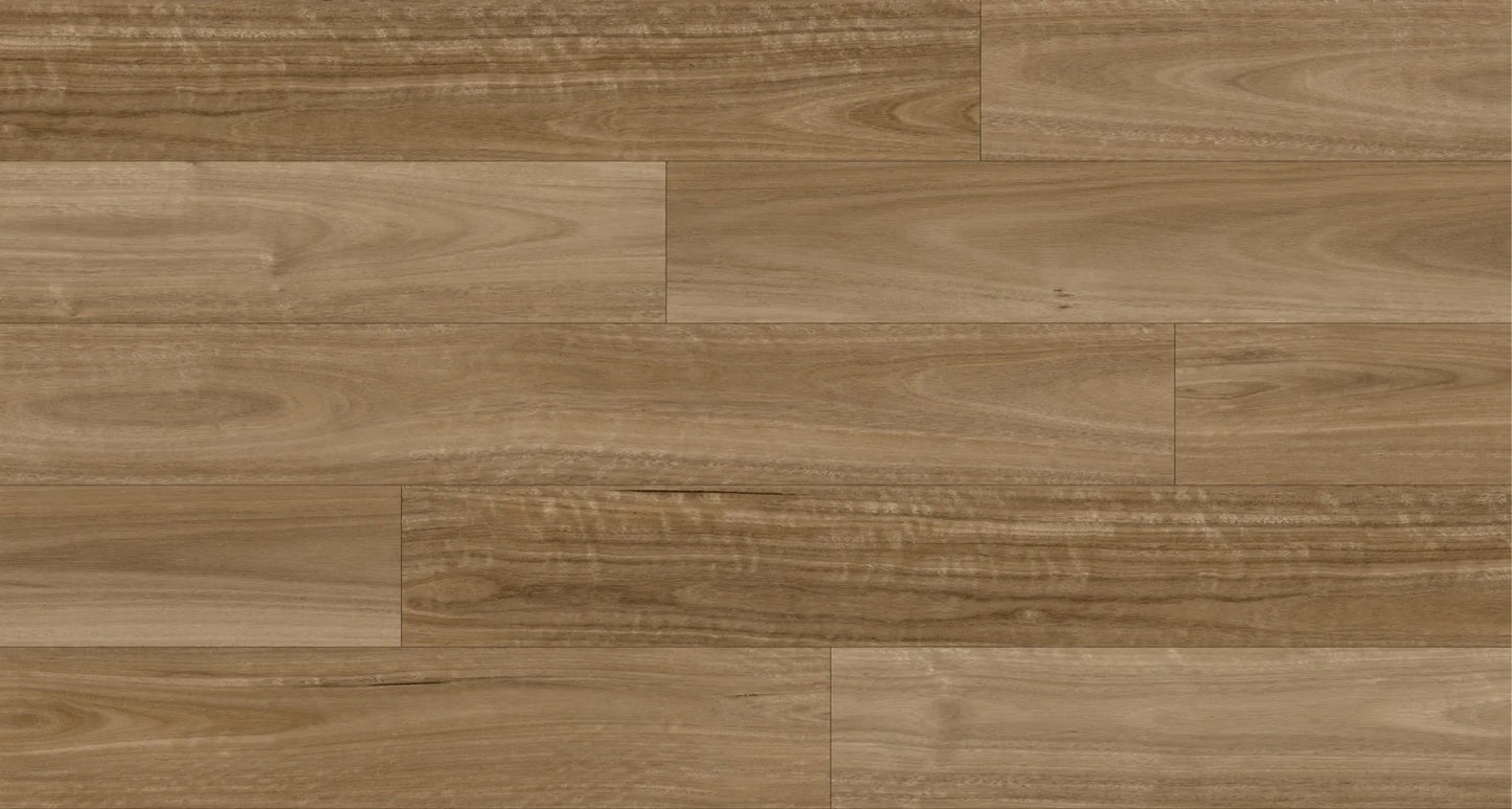 Ornato Luxury Vinyl Plank - Spotted Gum 5.3mm (Price per sqm)