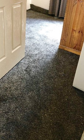 Cut Pile Carpets