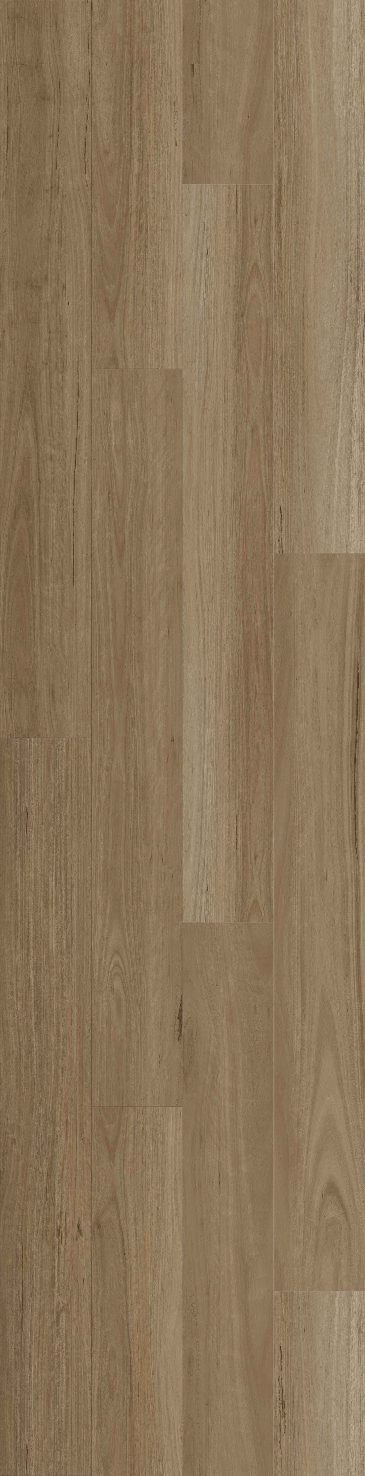 ResiPlank Summit 977 New England Blackbutt 9.7mm (price per sqm)