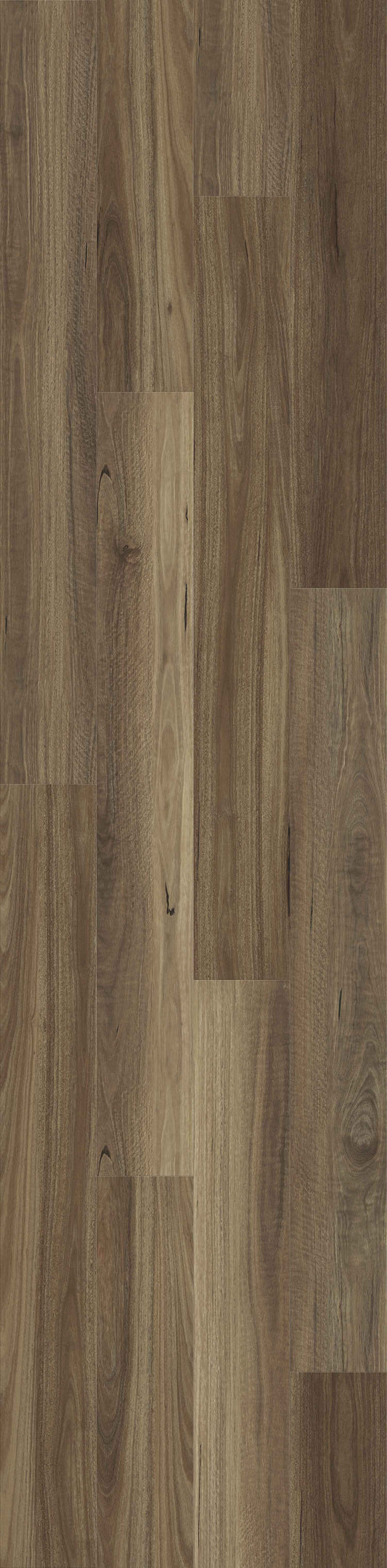 ResiPlank Summit 977 Scented Spotted Gum 9.7mm (price per sqm)