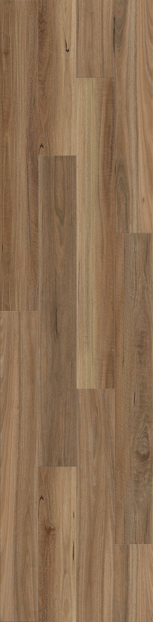 ResiPlank Summit 977 Northern Spotted Gum 9.7mm (price per sqm)