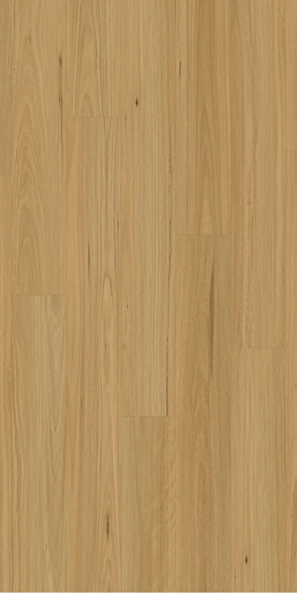 Swish Laminate Bespoke - Blackbutt Light