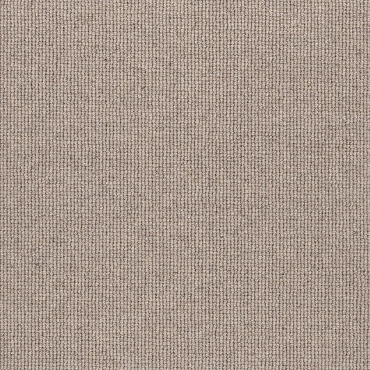 Hause 5017 Seventeen Carpet (price per sqm)
