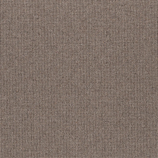 Hause 5045 Forty Five Carpet (price per sqm)