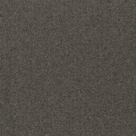 Hause 5088 Eighty Eight Carpet (price per sqm)