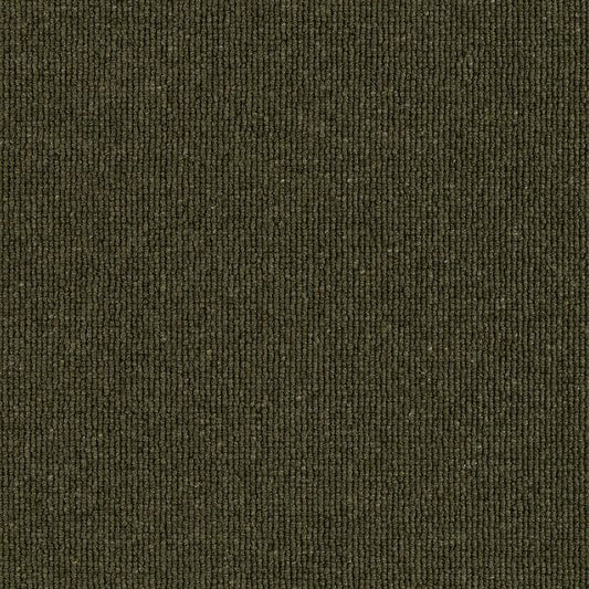 Hause 5011 Eleven Carpet (price per sqm)