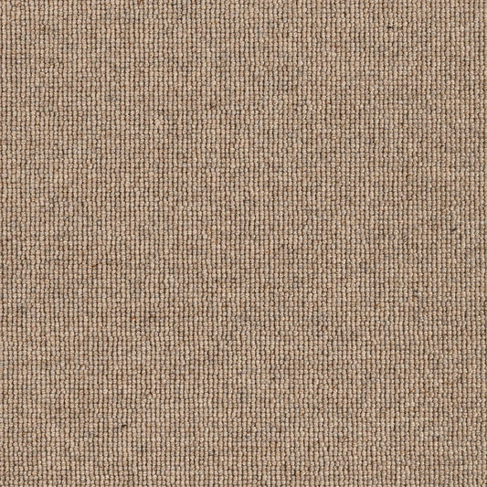 Hause 5054 Fifty Four Carpet (price per sqm)
