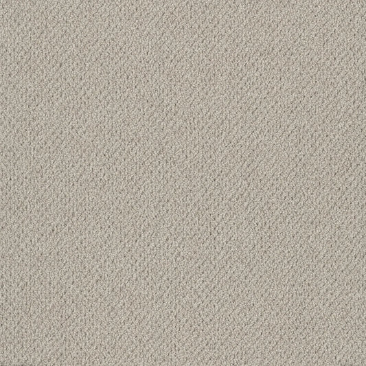 Bourkesgate 1962 Kidman Carpet (price per sqm)