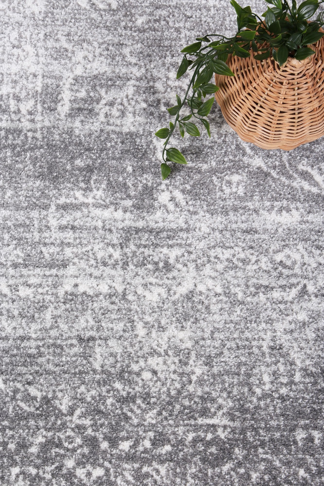 Ligures Grey Transitional Rug