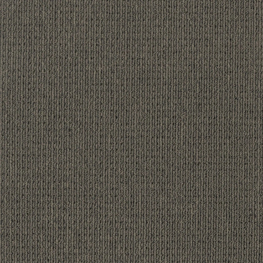 Savanna 2933 Coolibah Carpet (price per sqm)