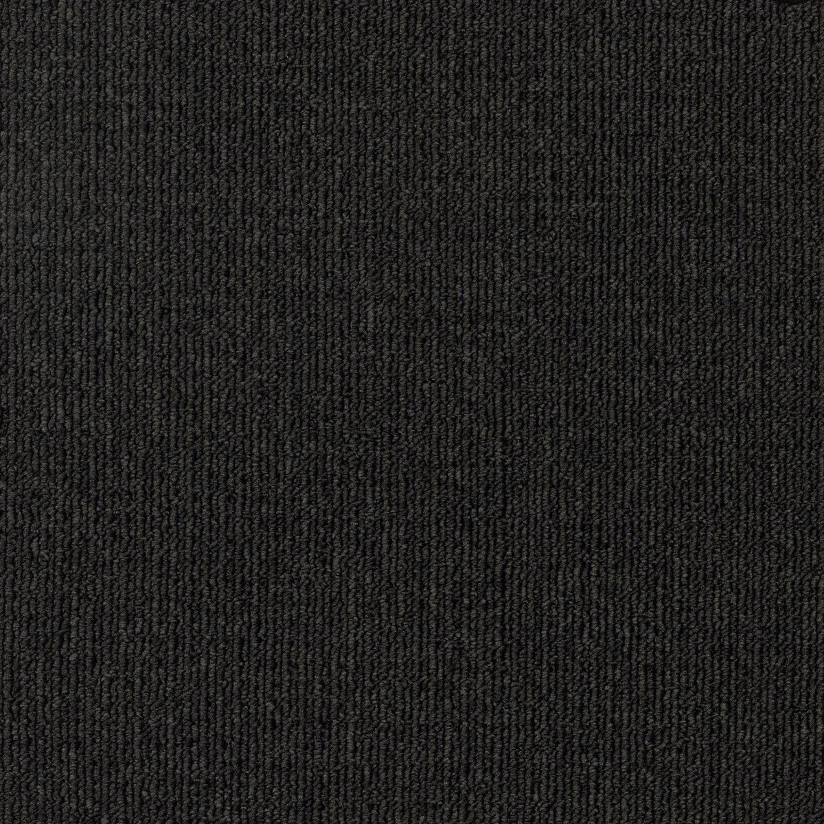 Savanna 2936 Copperburr Carpet (price per sqm)